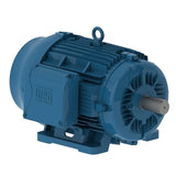 TEFC C-Face Foot Mount Three Phase - 30 HP @ 3600 RPM (284/6TSC)