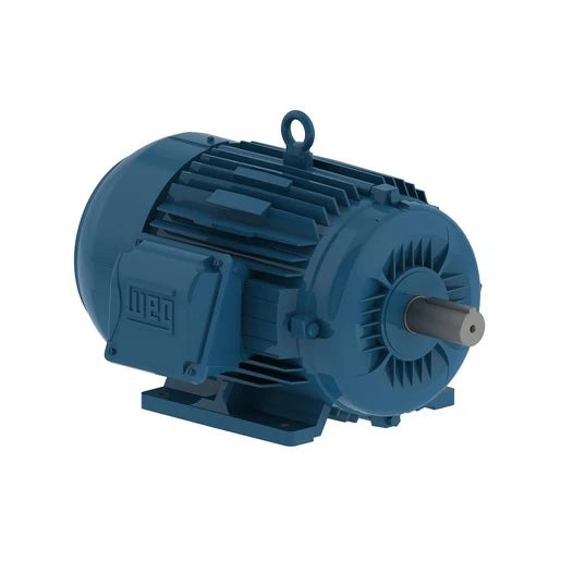 TEFC Foot Mount Three Phase - 10 HP @ 900 RPM (284/6T)